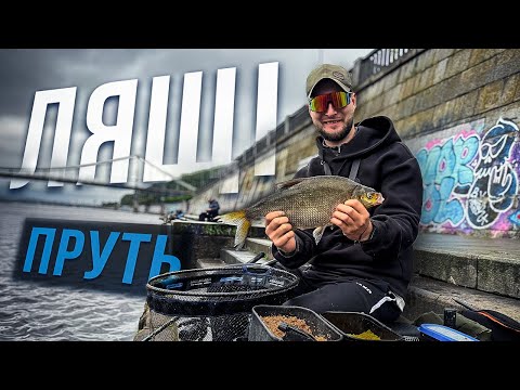 Видео: ЛЯЩОВЕ ельдорадо ‼️ НАБЕРЕЖНА ‼️ Вони клюють ДУПЛЕТАМИ! 💦Драйвова фідерна риболовля в центрі міста!
