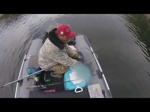 Видео: БВХ 2018