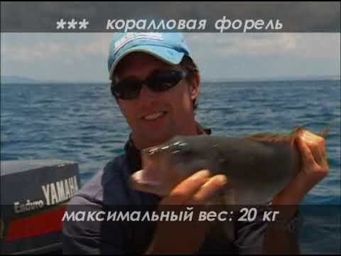 Видео: Морская рыбалка,  Ужение монстров-  Планета рыбака