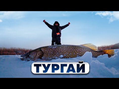 Видео: Первый лед в Тургае, ловим больших щук и отпускаем.