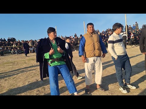 Видео: ЧИРОКЧИ ДОДИКДА КУРАШ 08.11.25