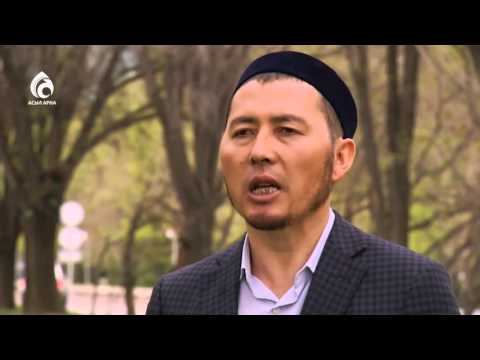 Видео: "Пайғамбар қасиеттері" бағдарламасы. КИІНУ ӘДЕБІ. Асыл арна