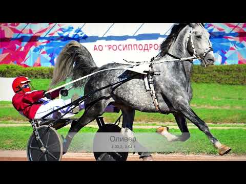 Видео: МКЗ№1 представляет ставку осеннего аукциона