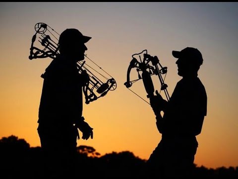 Видео: Что лучше ? ЛУК или АРБАЛЕТ - Мое мнение !!!!