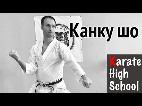Видео: Канку шо. Детальный разбор. Особенности, вариации, бункай. Александр Чичварин
