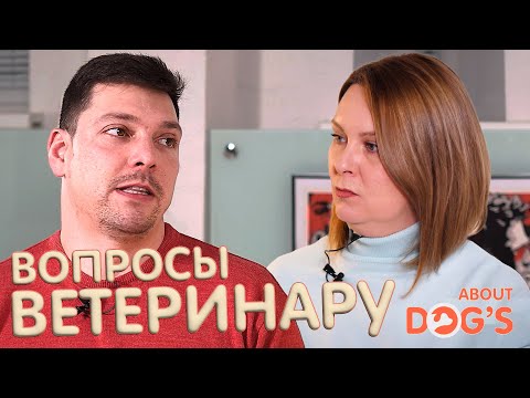 Видео: Интервью с ветеринарным врачом | корма, кастрация, отравления и вакцины