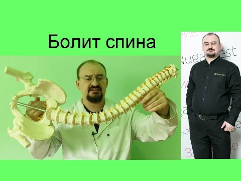 Видео: Болит спина – лекция доктора Голода