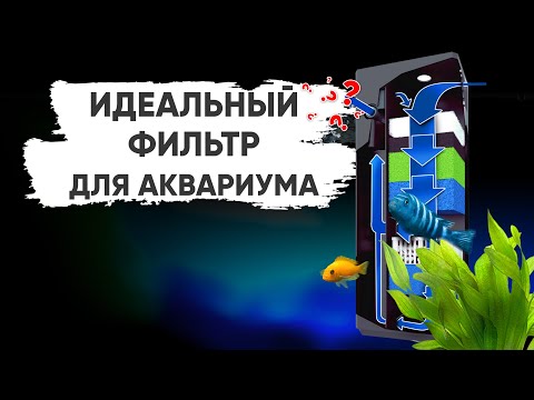 Видео: Идеальный фильтр для аквариума