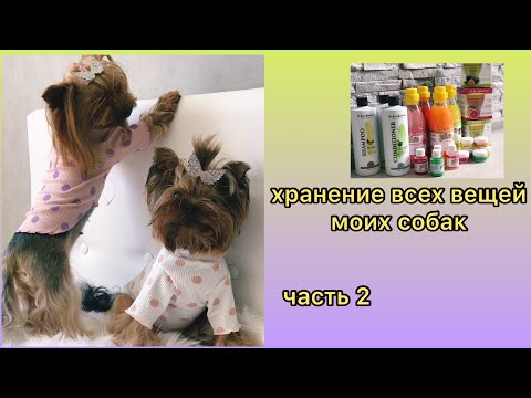 Видео: ХРАНЕНИЕ ВСЕХ ВЕЩЕЙ МОИХ СОБАК / АМУНИЦИЯ / ЛАКОМСТВА / КОСМЕТИКА / ЧАСТЬ 2