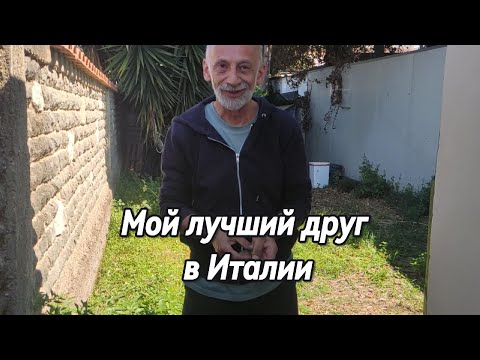 Видео: В гостях у Марко / обзор дома / благоустраиваем задний двор / сажаем огород / Марко готовит обед