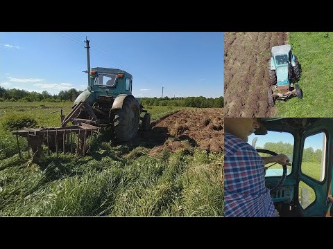 Видео: Поле не пахалось более 40 лет . Распашка 4-ого участка целины трактором Т-40 с плугом ПЛН 2-35 . 18