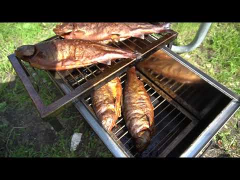 Видео: Белый амур, форель и осётр не перестают меня радовать