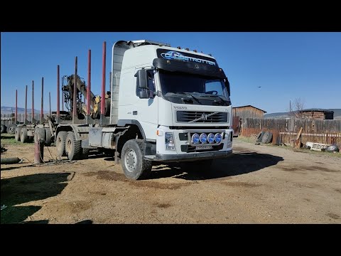 Видео: Лесовозные движения. Высокая гора🏔️