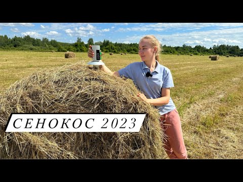 Видео: Научилась косить, прессовать! Работа в поле! Наш сенокос!