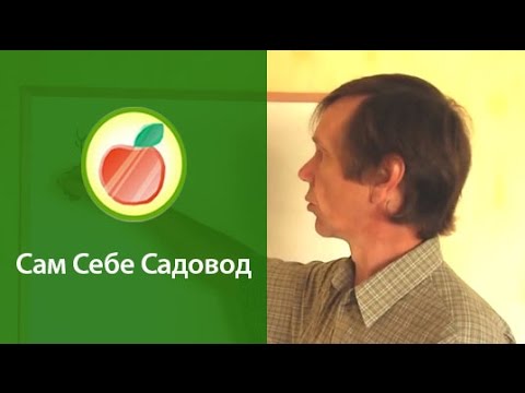 Видео: О клоновых подвоях и саженцах со вставкой