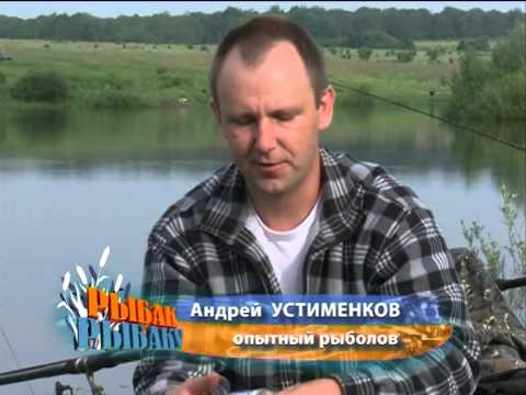 Видео: Рыбак Рыбаку 359 "За толстолобом и карпом".