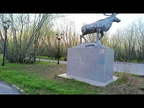 Видео: Воркута. 26.06.25. Прощай к/т Родина.