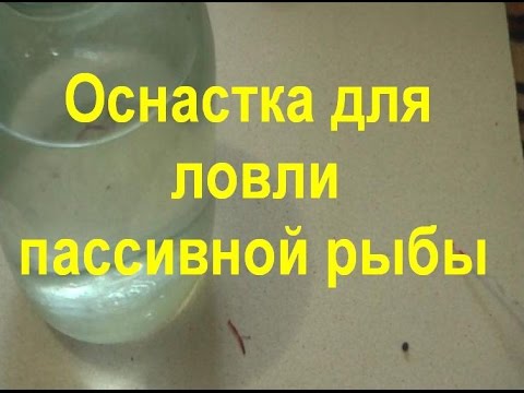 Видео: ОСНАСТКА ДЛЯ СТАЦИОНАРНОЙ ЛОВЛИ ПАССИВНОЙ РЫБЫ ЗИМОЙ