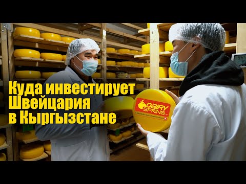 Видео: Куда инвестирует Швейцария в Кыргызстане