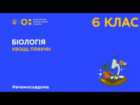 Видео: 6 клас. Біологія. Хвощі, плауни. (Тиж.1:ПН)