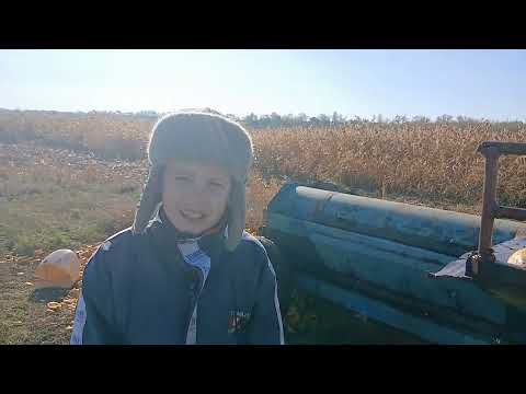 Видео: Річний заробіток в мінус