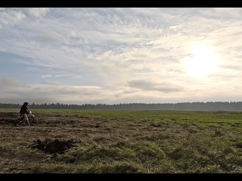 Видео: Крайние теплые дни осени