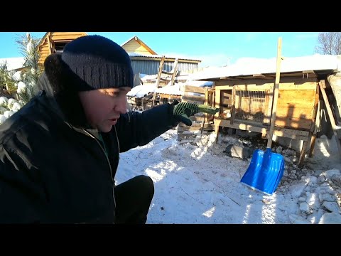 Видео: Зимние будни  / день плова