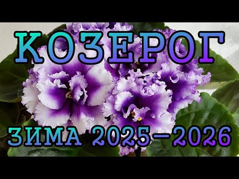 Видео: КОЗЕРОГ таро прогноз на ЗИМУ 2025 2026 года декабрь 2025, январь и февраль 2026