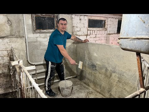 Видео: Подготовил загончик. Почистил у кур. 