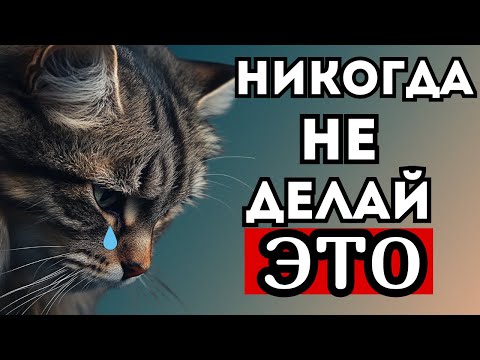 Видео: 20 ежедневных вещей, которые ранят Вашего котика