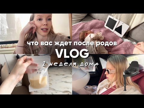 Видео: МЕНЯ ПУГАЛИ МАТЕРИНСТВОМ 😱 А КАК НА САМОМ ДЕЛЕ?! VLOG 2 недели после родов