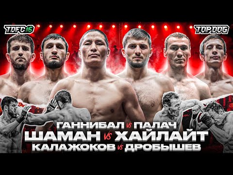 Видео: Шаман – Хайлайт, Калажоков – Дробышев, Ганнибал - Палач | TDFC 16
