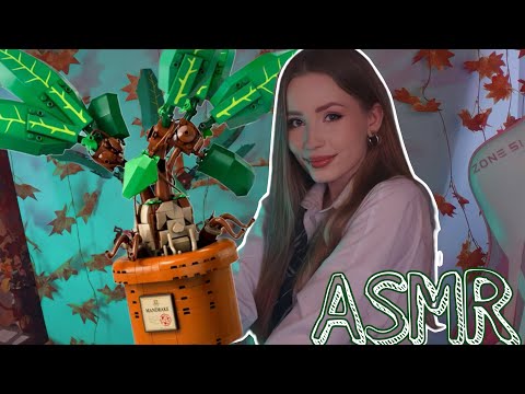 Видео: АСМР СБОРКА ЛЕГО 😍 ASMR Building A Lego ✨