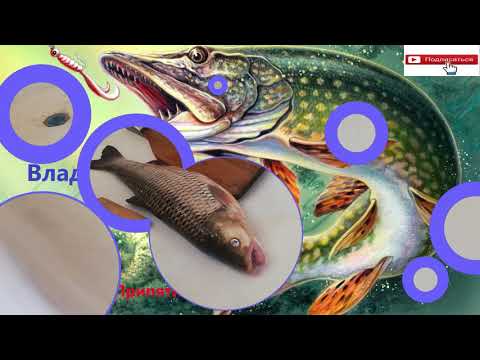 Видео: Готовим голавля вкусно.