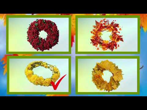 Видео: Дидактична гра "Що зайве?" (Осінь) | Галина Маркова,  ЗДО №425