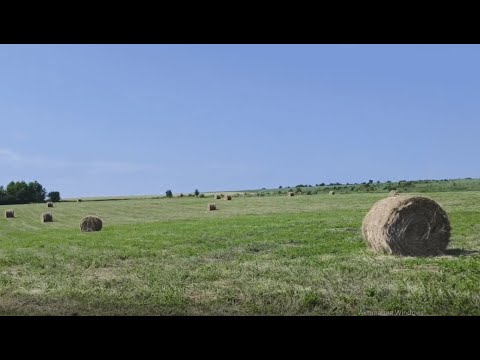 Видео: 52.  Заготовка сена, сенокос 2025.