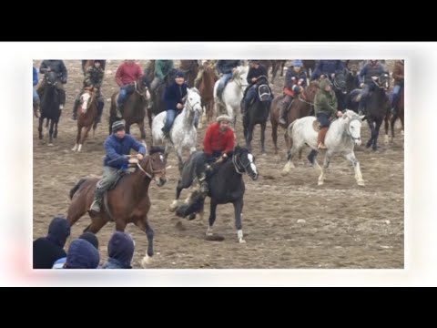 Видео: ЯНГИЛИКЛАР СИЗЛАР УЧУН КАДИРДОНЛАР ОБУНА БУЛИНГ