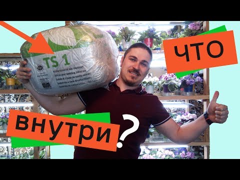 Видео: МЕГА ПОСЫЛКА! ФИАЛКИ ВЗОРВУТСЯ В РОСТЕ! ШИКАРНОЕ ЦВЕТЕНИЕ ОБЕСПЕЧЕНО!