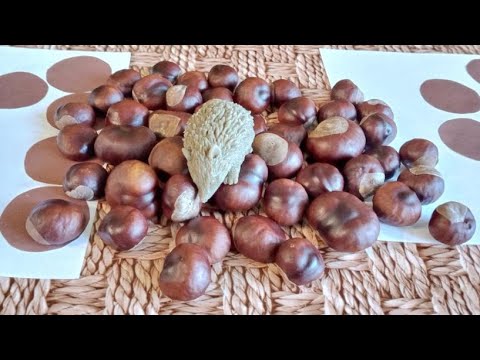 Видео: #77. Ігри з каштанами