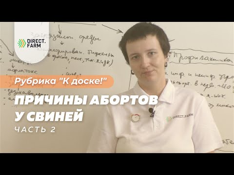 Видео: Неинфекционные причины абортов у свиноматок