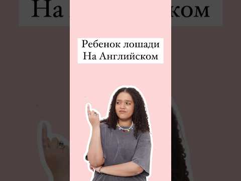 Видео: Жеребенок на Английском #английский #английскийязык #english #егэ