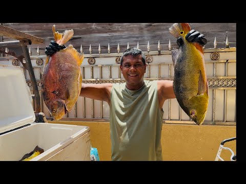 Видео: 13 ЧАСОВ ЕЗДЫ ОТ ДЖОРДЖТАУНА ДО СИПАРУНИ И ОБРАТНО