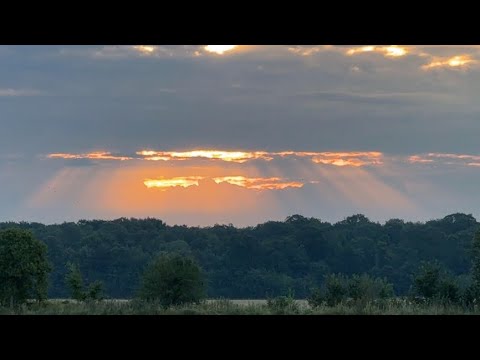 Видео: КОП В СЕКРЕТНОМ МЕСТЕ! METAL DETECTING!
