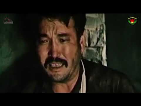 Видео: 29 октября 2025 г.