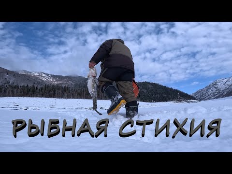 Видео: РЫБАЛКА НА САЯНО-ШУШЕНСКОМ ВОДОХРАНИЛИЩЕ ВЕСНОЙ