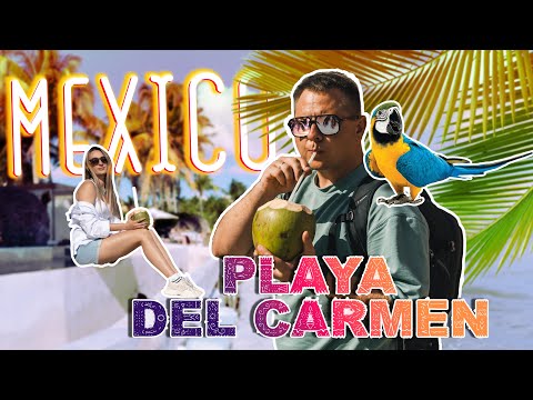 Видео: Мексика 2023. Переезд в Playa Del Carmen. Сняли квартиру. Что не так с пляжем?