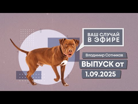 Видео: Ваш случай в эфире. Выпуск от 1.09.2025