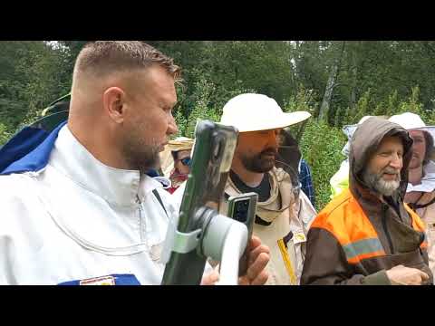 Видео: Слёт АЕП 2025 год.