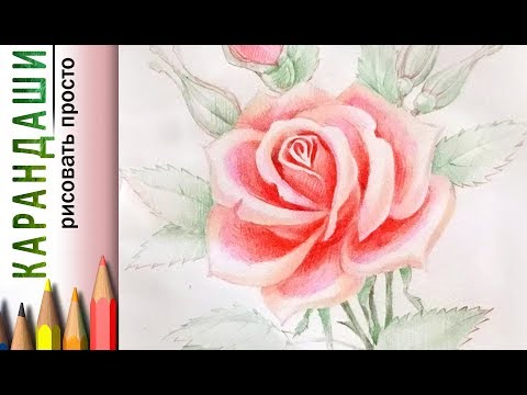Видео: "Роза" как нарисовать 🎨 КАРАНДАШИ цветные акварельные