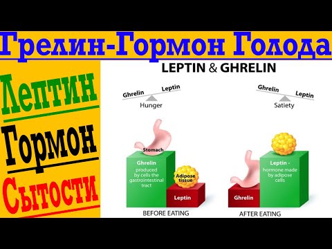 Видео: Как похудеть с умом! Грелин – гормон голода! Лептин – гормон сытости!